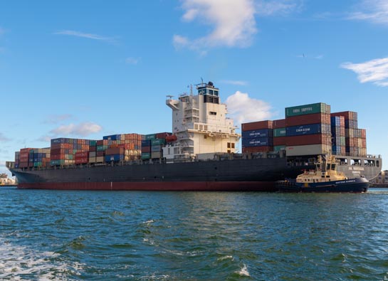 Logistic & Transportation